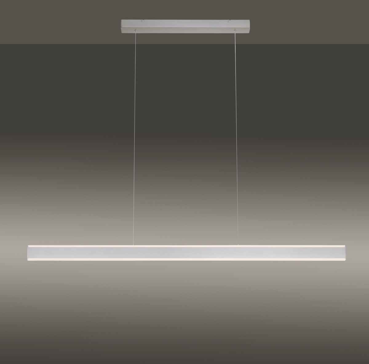 Pendelleuchte Arina 8364-55 stahl