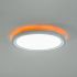LED-Anbaupanel 12208073