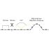 LED-Flexplatine 15522003