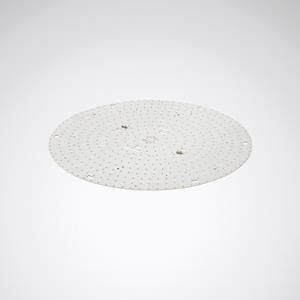 LED-Ersatzmodul LEDM Olisq #8228000