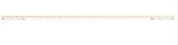 Phasenschiene 1Ph, 24Pins PSc 1/24/10 N