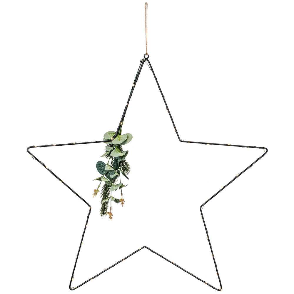 LED-Stern EUKALYPTUS