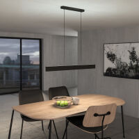 Pendelleuchte CONNECT-Z ANDREAS-Z LED/19W