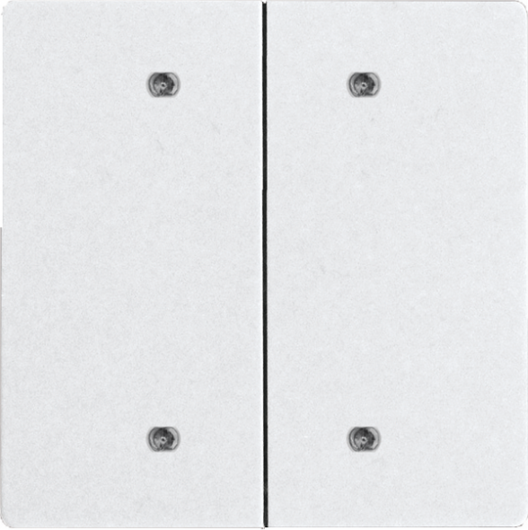 Doppelwippe für Bustaster DW-B4T55E-pm