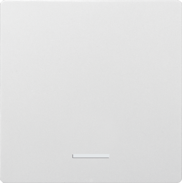 Wippe für Funktaster W-F1T55E-pm