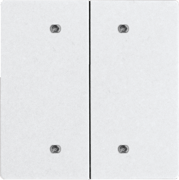 Doppelwippe für Bustaster DW-B4T55E-wg