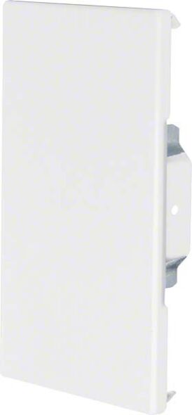 Endplatte BRS 1001706 rws