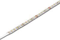 LED-Stripe 20202480210