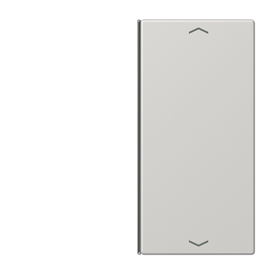 Taste 2-fach LS 402 TSAP LG lichtgrau Taste 2-fach LS 402 TSAP LG lichtgrau