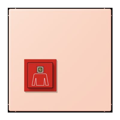 Notrufsystem Ruftaster NRS LC 0834 RT 234