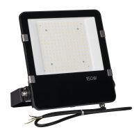 Außenstrahler FL AGOR PRO 4000K 150W seeklimabeständig Reflektor symmetrisch