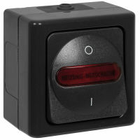 AP/FR BLUE ELECTRIC anthrazit Heizungsnotschalter