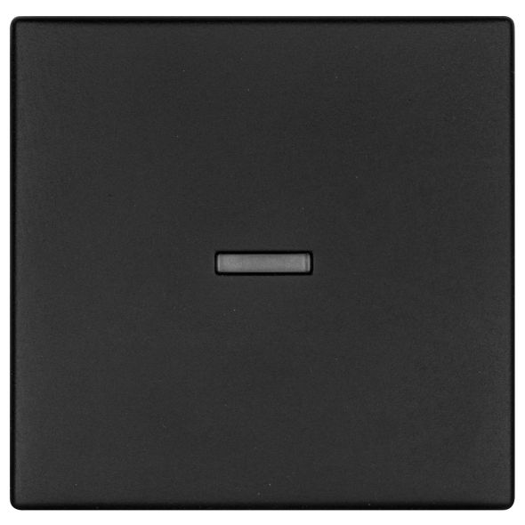Wippe Kontroll-Schalter K55 schwarz matt Wippe Kontroll-Schalter K55 schwarz matt