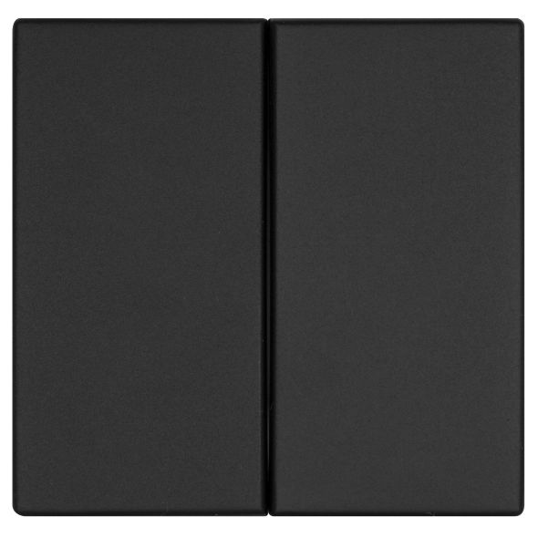 Wippe Serien/Doppelwechsel-Schalter K55 schwarz matt