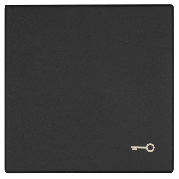 Wippe Symbol Schlüssel K55 schwarz matt