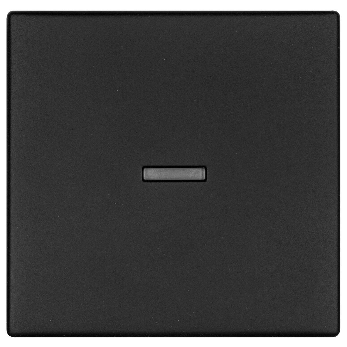 Wippe Kontroll-Schalter K55 schwarz matt