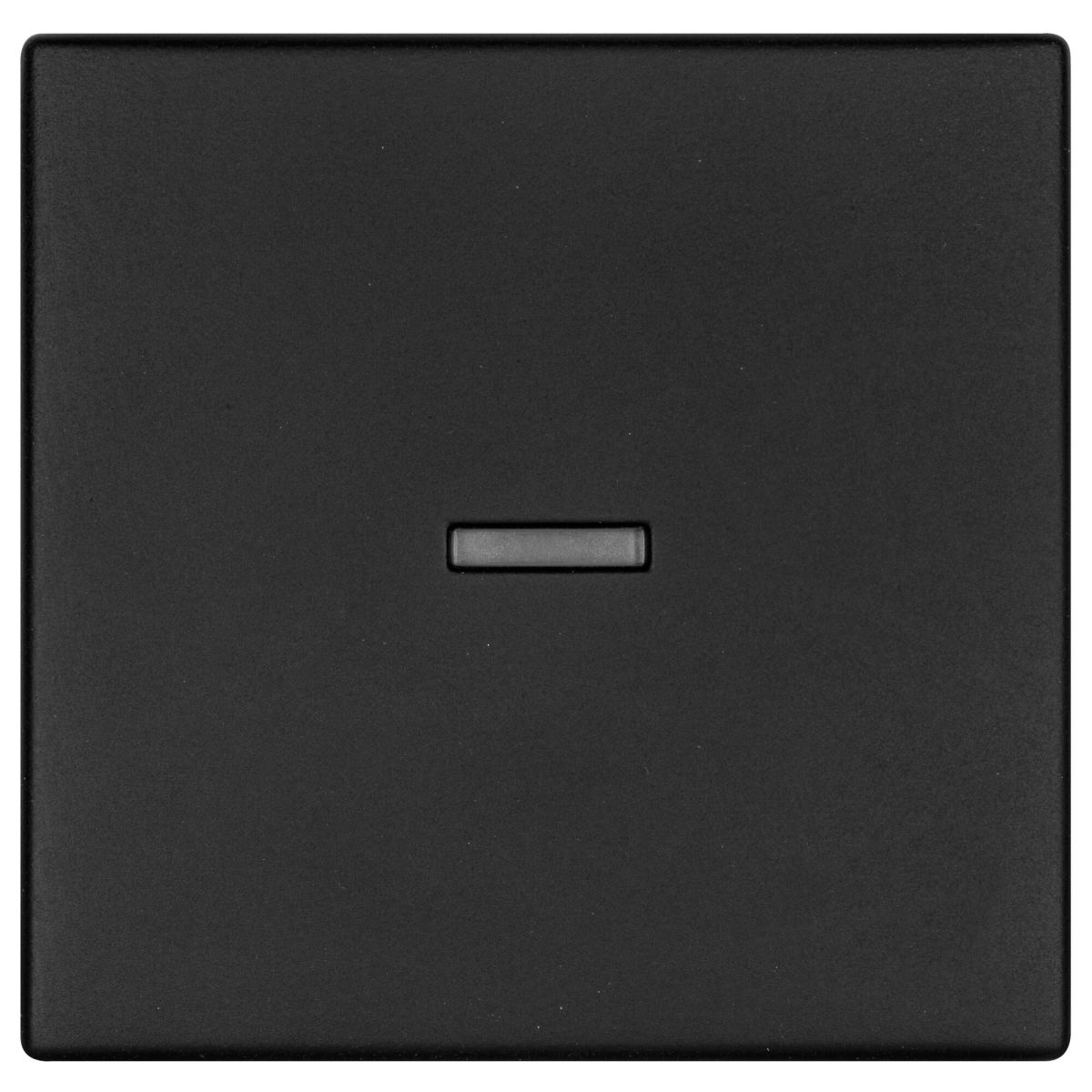Wippe Kontroll-Schalter K55 schwarz matt Wippe Kontroll-Schalter K55 schwarz matt