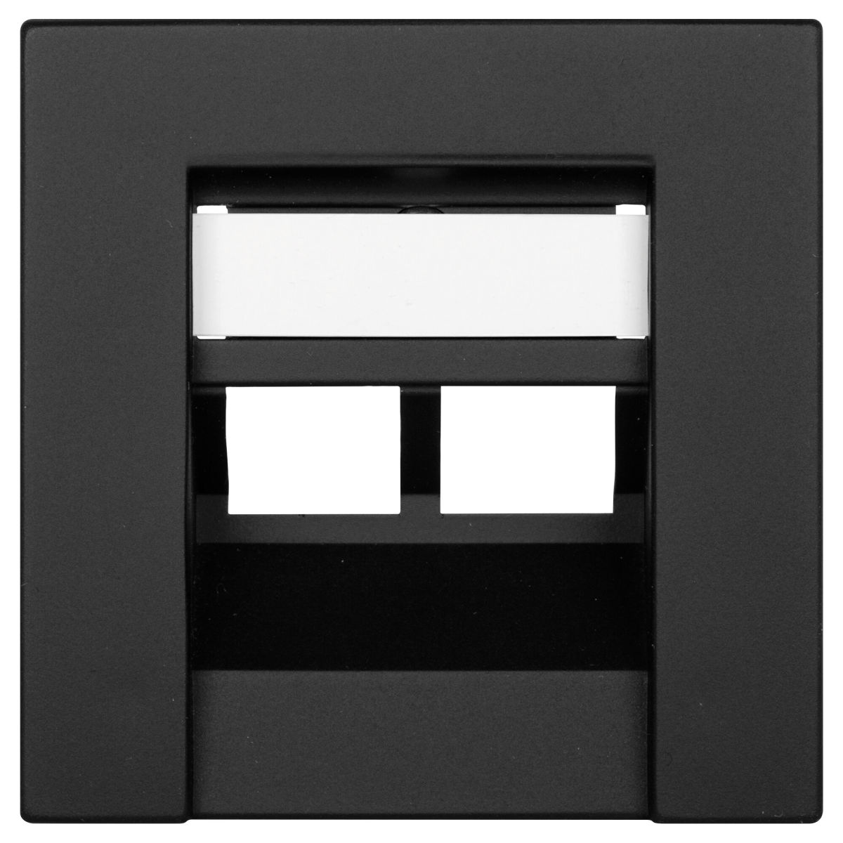 Zentralplatte für 2-fach-UAE-Steckdose K55 schwarz matt Zentralplatte für 2-fach-UAE-Steckdose K55 schwarz matt