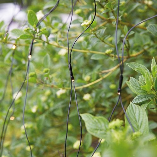 LED-Lichternetz GARDEN 24 160 LED/4W LED-Lichternetz GARDEN 24 160 LED/4W