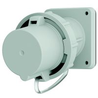 Anbaustecker, 1295