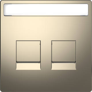 Zentralplatte 2-fach nickelmetallic MEG4564-6050 Zentralplatte 2-fach nickelmetallic MEG4564-6050