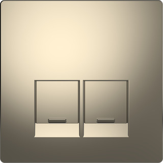 Zentralplatte 2-fach nickelmetallic MEG4572-6050 Zentralplatte 2-fach nickelmetallic MEG4572-6050