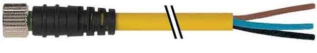 Buchse 7000-08061-0510500