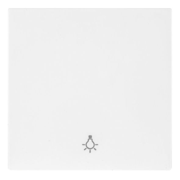 Wippe mit Symbol KARRE Plus 55 reinweiß (~RAL 9010) Wippe mit Symbol KARRE Plus 55 reinweiß (~RAL 9010)