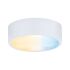 LED-Spot 999.54