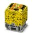 Verteilerblock PTFIX 6/6X2,#3274186