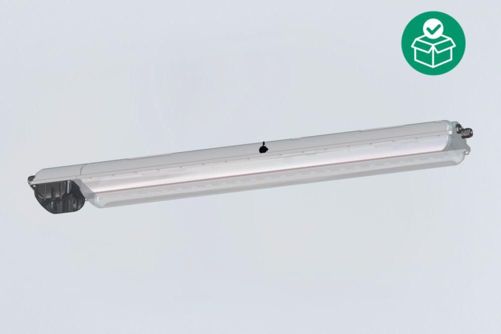 LED Sicherheitsleuchte 278302