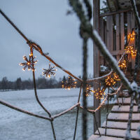 LED-Minilichterkette FLOWER CURTAIN 10 Cluster mit je 20 warmweißen LEDs