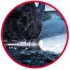 LED-Taschenlampe IndestructibleF10Pro