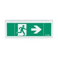 LED-Rettungszeichenleuchte FT1EW4ICGL18IP