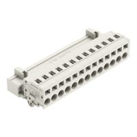 1-Leiter-Stiftleiste 721-613/018-000