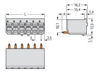 1-Leiter-THT-Federleiste 2092-1162