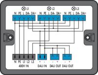 Verteilerbox 899-631/455-000
