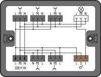 Verteilerbox 899-631/478-000
