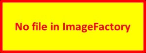 Schraubensatz GKX SS 40+ 40 V4A