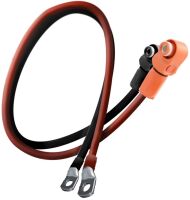 Kabelsatz für LX48-100 LICB-2M