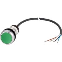 C22-D-G-K10-P62 185670 Druckta.,fla, tast., 1 S, grün, o