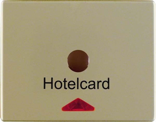 Hotelcardschalter 16419011 hellbronze matt lackiert Hotelcardschalter 16419011 hellbronze matt lackiert
