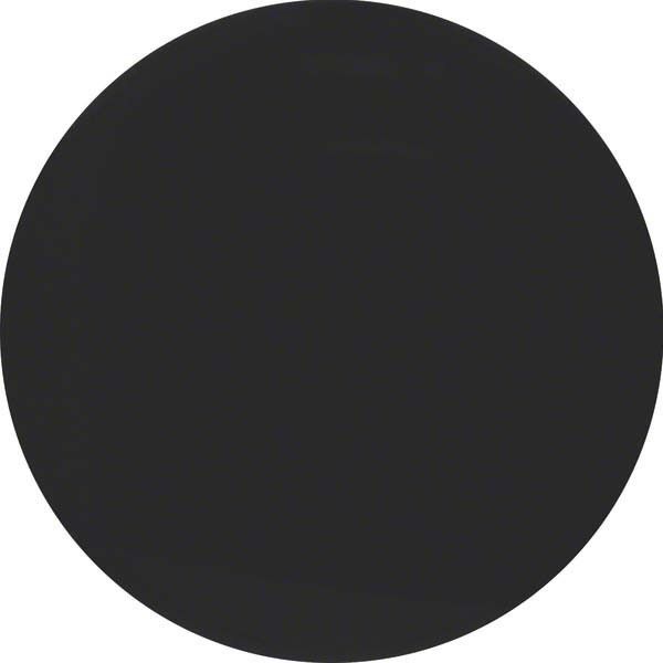 Taste 1-fach 85141131 schwarz glänzend Taste 1-fach 85141131 schwarz glänzend