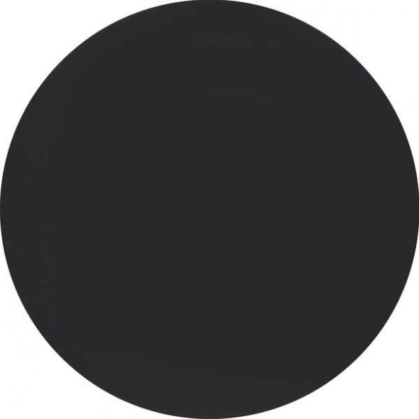 Taste 1-fach 85141131 schwarz glänzend Taste 1-fach 85141131 schwarz glänzend