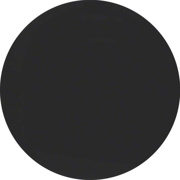 Taste 1-fach 85145131 schwarz glänzend Taste 1-fach 85145131 schwarz glänzend