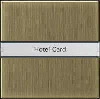 Hotel-Card-Taster BSF brz 0140603