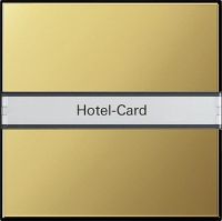 Hotel-Card-Taster BSF ms 0140604