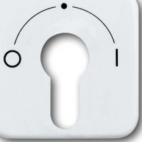 Zentralscheibe aws 2557 SLPZ-214-101