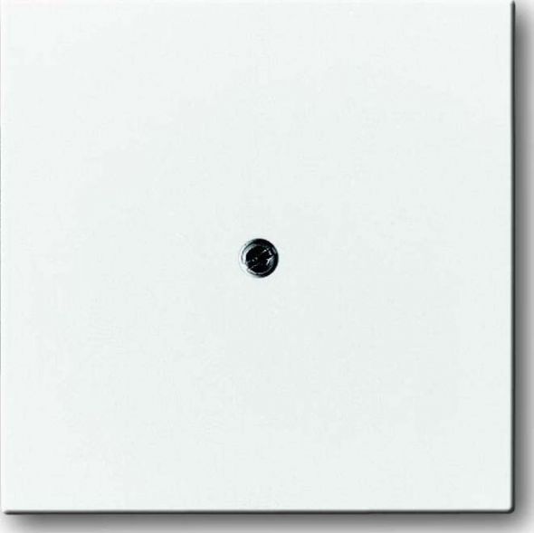 Zentralscheibe dav/sws 1745-84 Zentralscheibe dav/sws 1745-84
