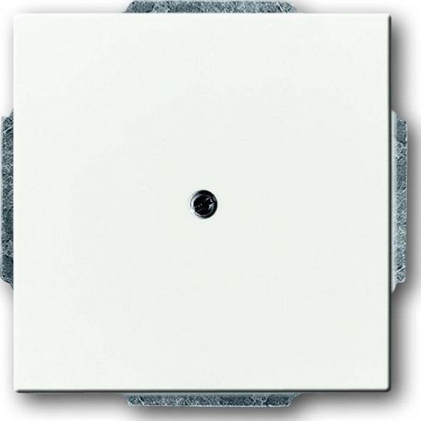 Zentralscheibe dav/sws 1749-84 Zentralscheibe dav/sws 1749-84